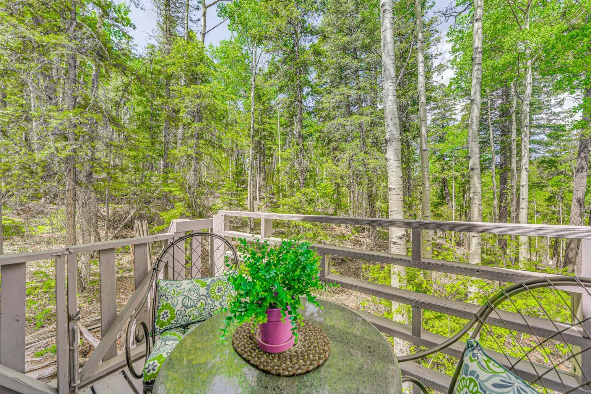Quaint Cloudcroft Cabin With Stunning Forest Views! Extérieur photo