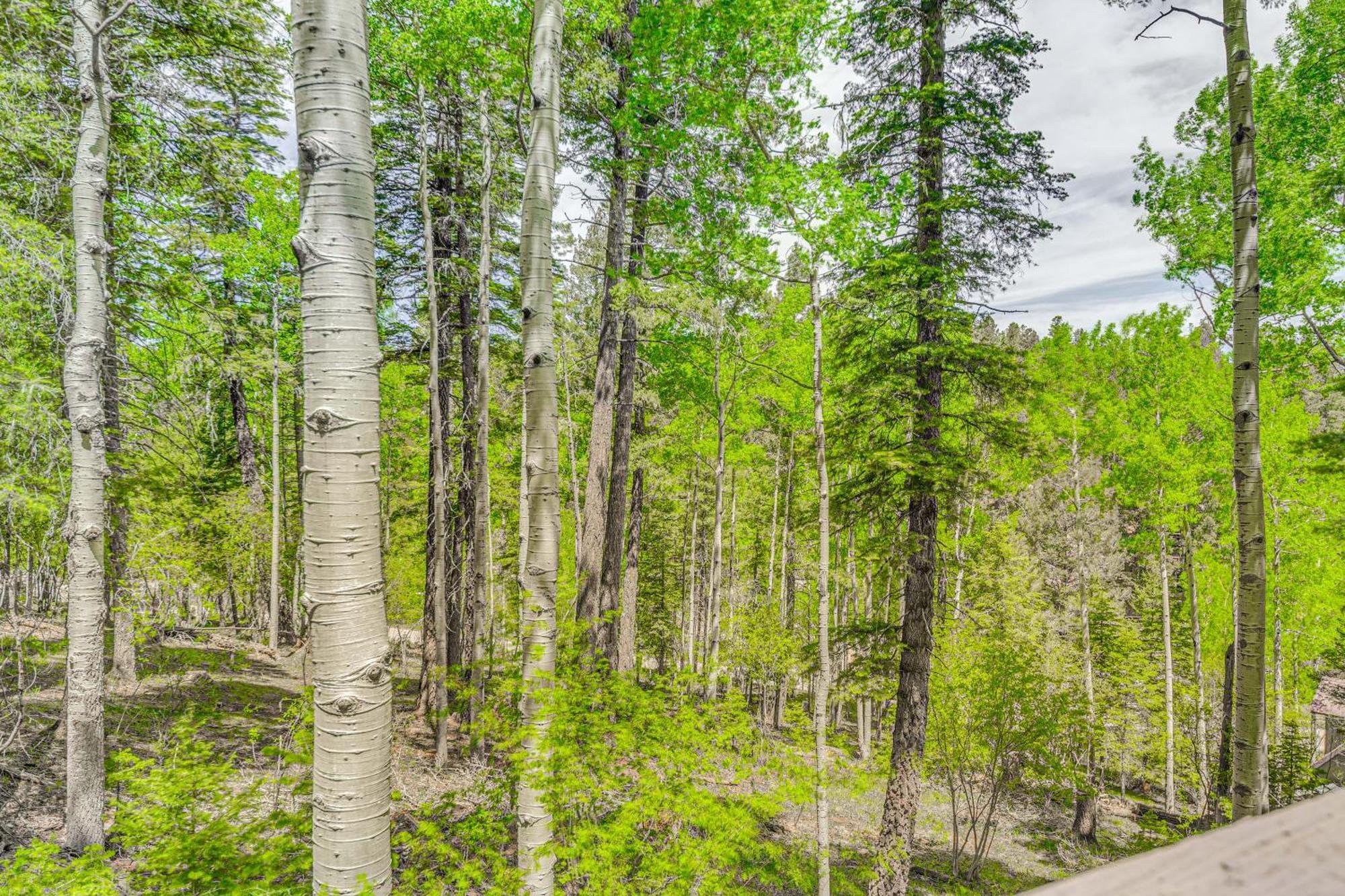Quaint Cloudcroft Cabin With Stunning Forest Views! Extérieur photo